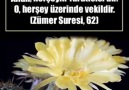 Allah herşeyin Yaratıcısı&O herşey üzerinde vekildir. (Zümer Suresi 62)