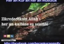 ALLAH'IN NURLARI