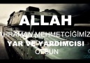 Allah Kahraman Mehmetciğimizin Yar ve Yardımcısı Olsun...