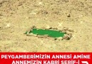 ALLAH RIZASI İÇİN SAĞ ALTTAN BEĞEN