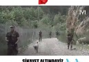 Allah TÜRK askerini korusun.İZLEYİPTE GURURLANMAYAN BİZDEN DEĞİLDİR
