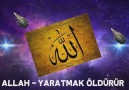 Allah - Yaratmak öldürür