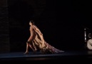 ALL FLAMENCO - Free Flamenco Premium Shows