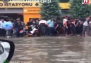 Almanyadan sonra Viyanada bizi kıskanıyor..