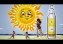 ALOE SUNSCREEN SPRAY