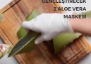 Aloe Vera maskesi ile 10 yaş genç gözükmek mümkün!