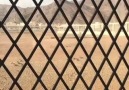 A look into Uhud Cemetery and surroundings.