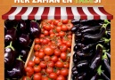 Alp Süpermarket - Manav Reyonu Facebook