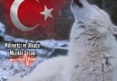 Altaylar&Tuna&Adriyatikten Çin... - MilliyetçiÜlkücü Müzikle Yaşam