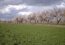 ALTIMIŞ YAŞ NEDİR HELE