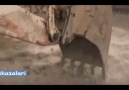 Altyapı kazmak...