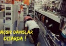 Amaçsız Danslar - Dışarda