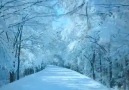 A magical Winter Wonderland
