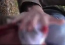 Aman Harbiden Yok Böyle Bir Şey!! yaralı izle :(