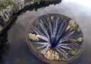 Amazing Aerial View of Covão dos Conchos