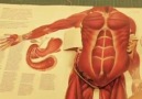 Amazing Anatomy Book.