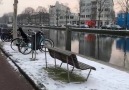 Amazing City Amasterdam In the Winter