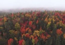 Amazing Colors of Quebec Forests in Autumn