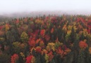 Amazing Colors of Quebec Forests in Autumn