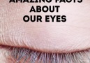 Amazing facts about our eyes