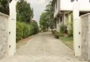 Amazing gate opening !