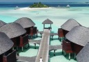 Amazing Honeymoon Experience at Anantara Dhigu Maldives Resort
