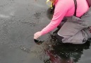 Amazing Ice Fishing