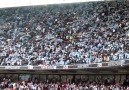 AMAZING MAN CITY FANS / FROM ENGLAND