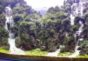 Amazing Nature Aquarium by Dayat Aqua Jaya !