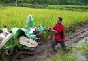 Amazing Primitive Farming Equipment - Rice Harvest Corn Harvest Sugar Harvest