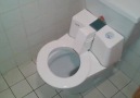 Amazing Self Cleaning Toiler Seat