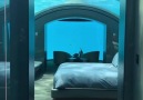Amazing Underwater Hotel In Maldives & IG