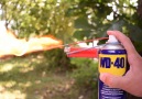 16 Amazing Ways To Use WD-40