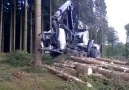 Amazing wood harvesting machine OFastest machine I&ever seen...