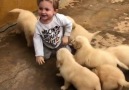 Amazing World - Little Kid &By Puppies Facebook