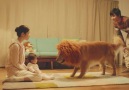 Amazon Prime Commercial "Lion" (Japan)