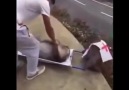 Ambulansçı maymınlar Üseen dayıyı unuttular Video Deli Farfara