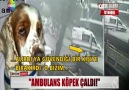 AMBULANS KÖPEK ÇALDI!