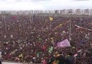 Amed Newrozu, Milyonların tek yürek Çerxa Şoresê marşı...