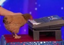 Americas Got Talent Chicken Plays Piano Credit Americas Got Talent