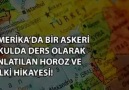 Amerikada Bir Askeri Okulda Ders Olarak Anlatılan Horoz ve Tilki Hikayesi!