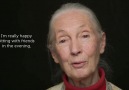 A message to humanity from Dr. Jane Goodall
