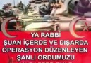 AMIN AMIN AMIN - GÖNÜL Vurgun YEDİ