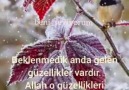 Amin Beniseviyorum