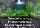 AMİN diyelim değerli dostlarım Sabah Namazı Şahitlidir davetlisiniz