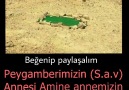 Amine Annemizin mübarek Kabri Sabah Namazı Şahitlidir Davetlisiniz