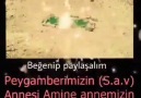 Amine Annemizin mübarek mezarı