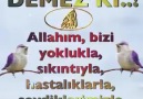 Aminnn Aminnnnn