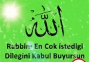 AMİNNNCan Tanem