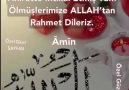 AminÖzel Güzel SAYFASI